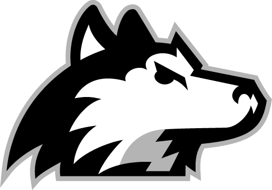 Northern Illinois Huskies 2001-Pres Alternate Logo v7 diy DTF decal sticker